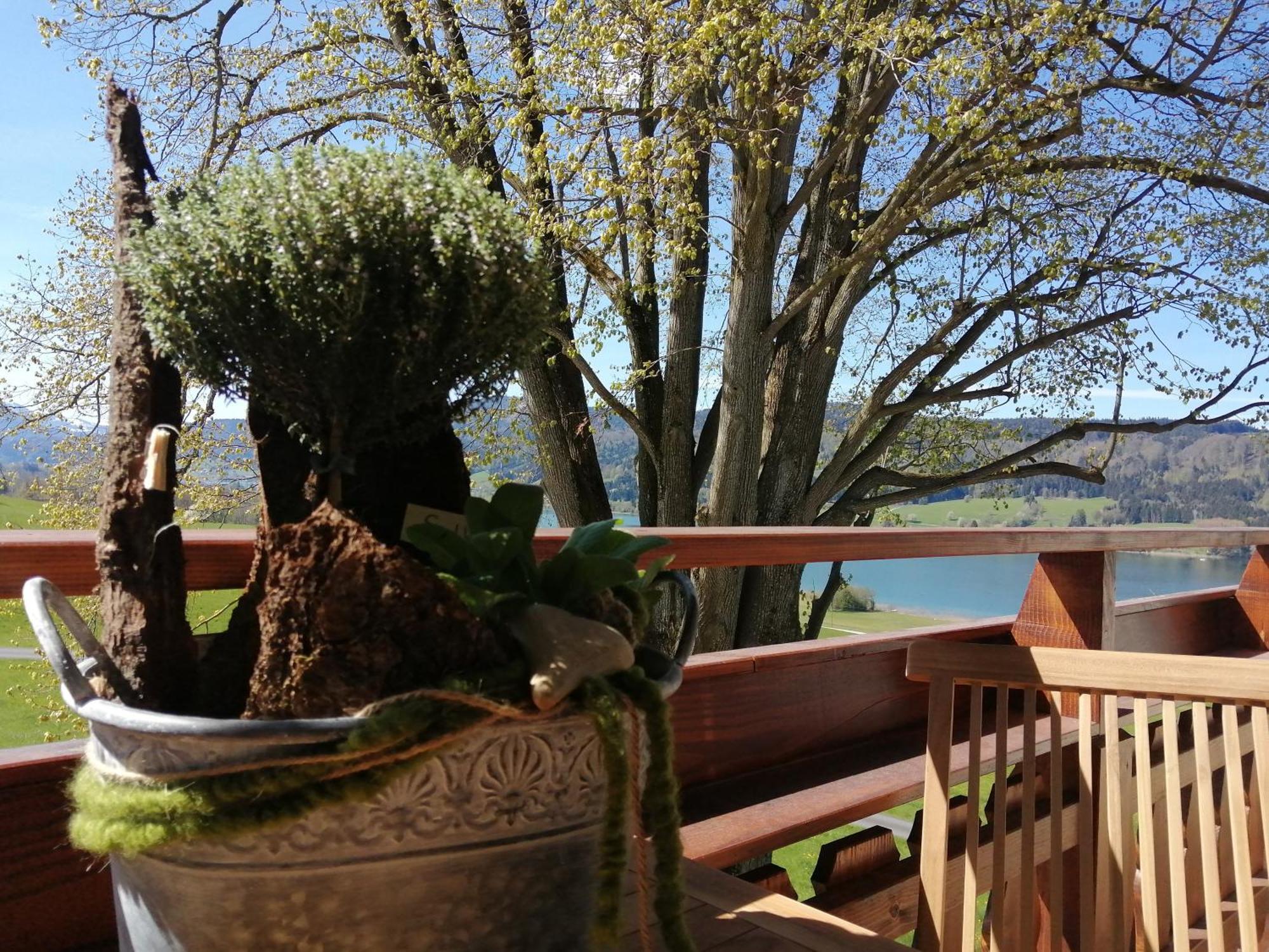 Oberhofen am Irrsee Roiderhof Irrsee מראה חיצוני תמונה