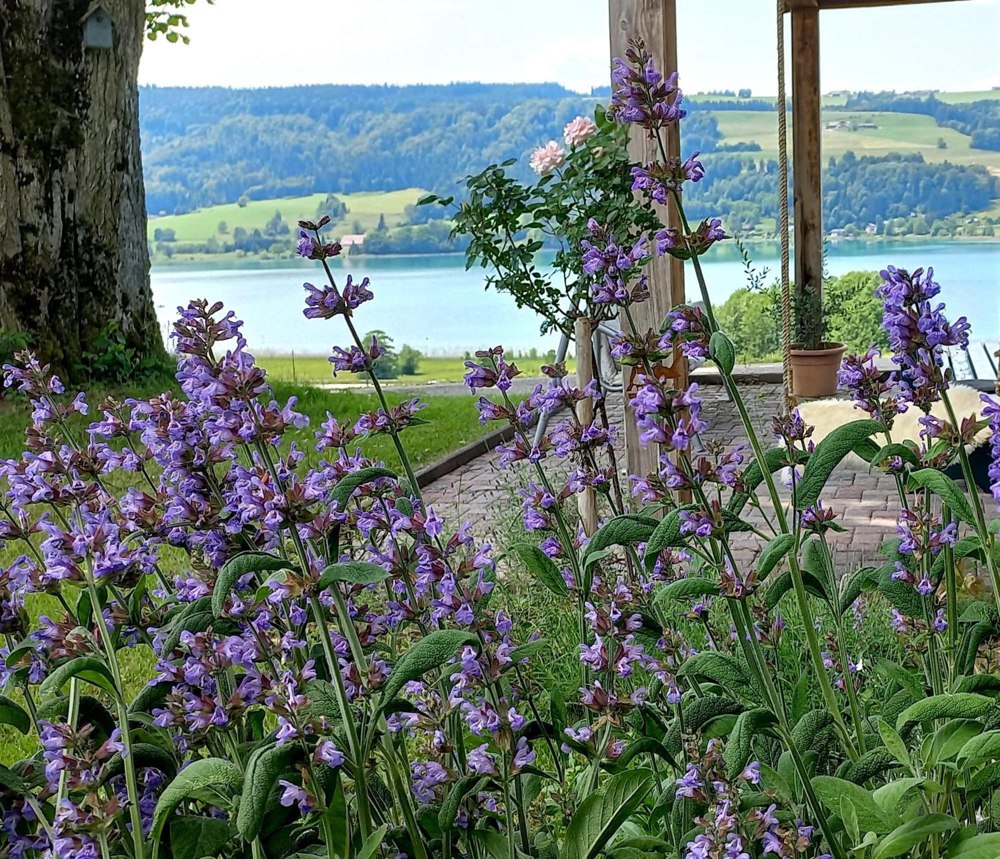 Oberhofen am Irrsee Roiderhof Irrsee מראה חיצוני תמונה